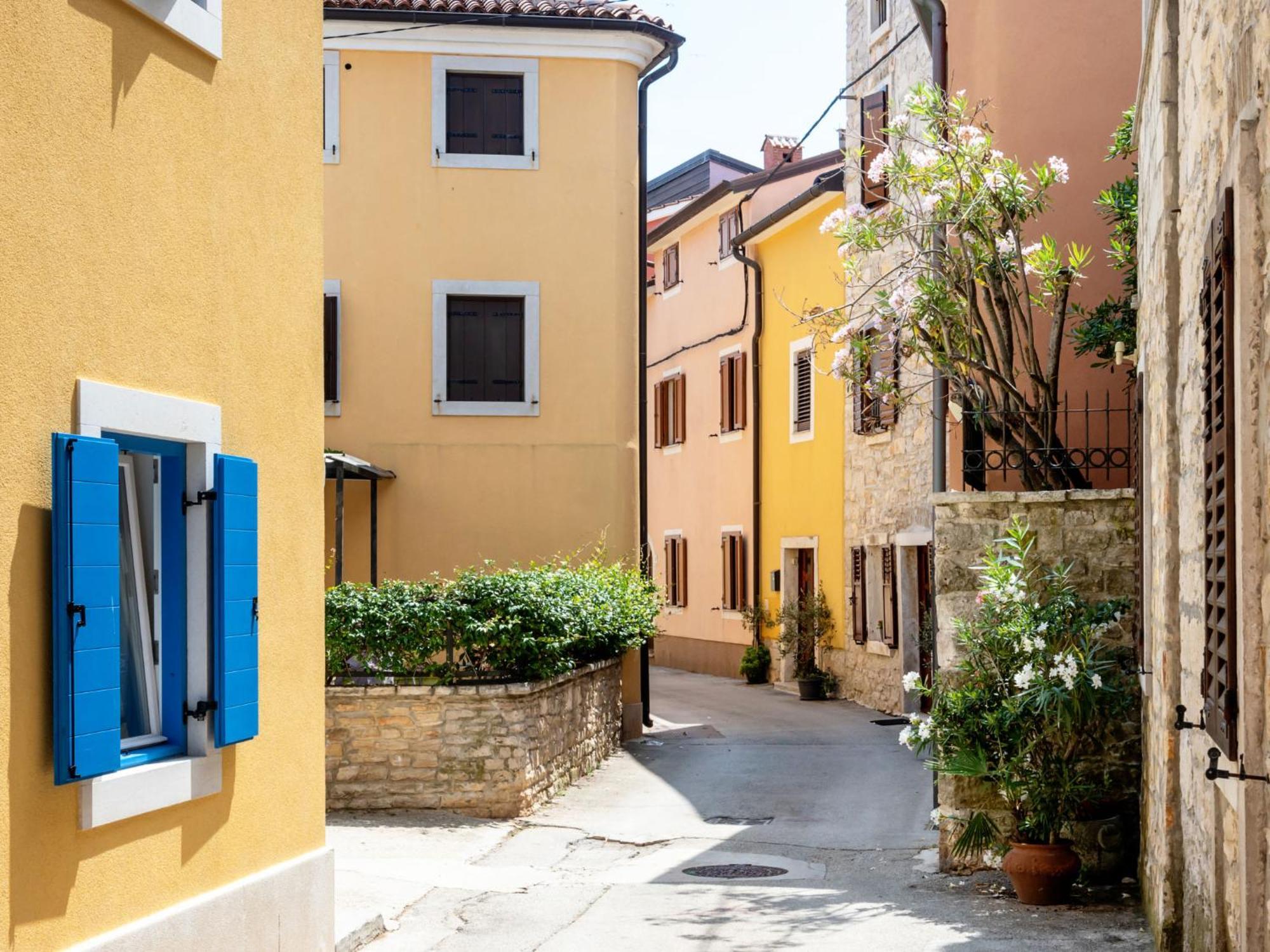 Holiday Home Villa Joy By Interhome Novigrad Istria Extérieur photo